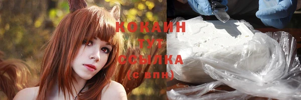 шишки Зеленодольск